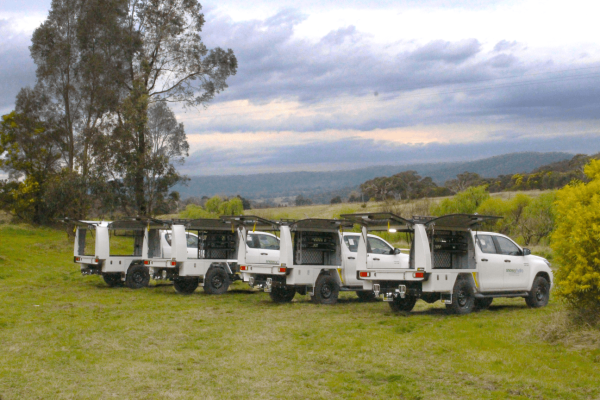 Fleet Consistency Image