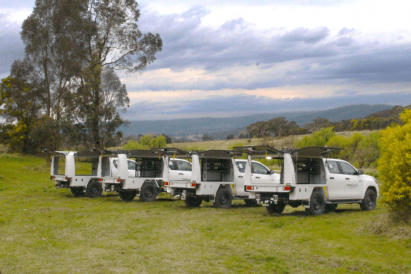 Fleet Consistency Image